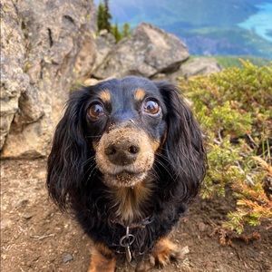 Meet your Posher, Hannah